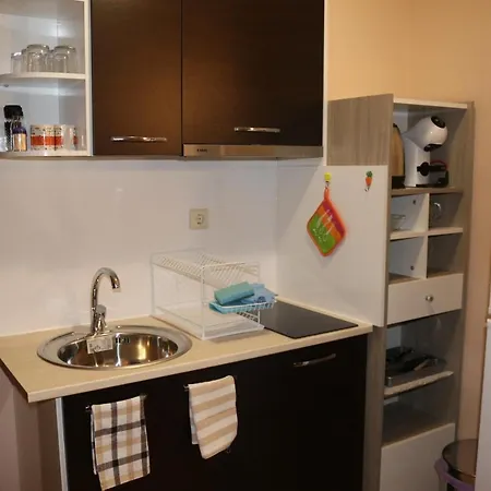 Winter аpartments Gerovi Apartmán Pamporovo